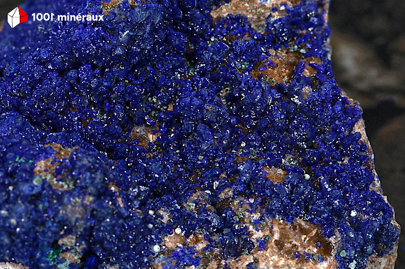 Azurite du Maroc - Détail des globules bleu foncé bien individualisés - 239 g