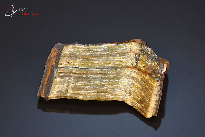 Minéral brut d'œil de tigre d'Afrique du sud