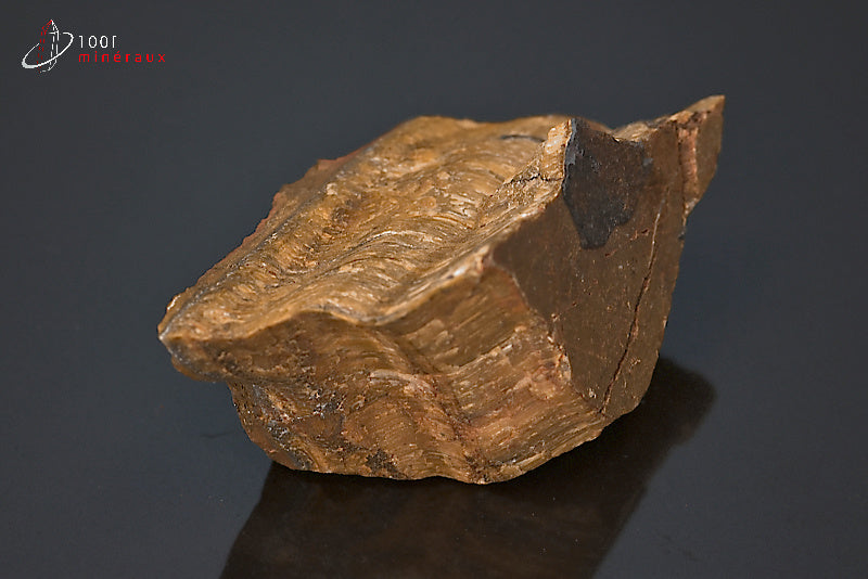 Minéral brut d'œil de tigre d'Afrique du sud