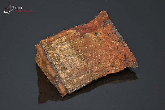 Minéral brut d'œil de tigre d'Afrique du sud