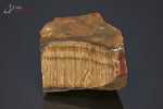 Oeil de tigre brut - Afrique du sud - minéraux bruts 4,8 cm / 97g / AZ292 - Vignette | 1001 minéraux