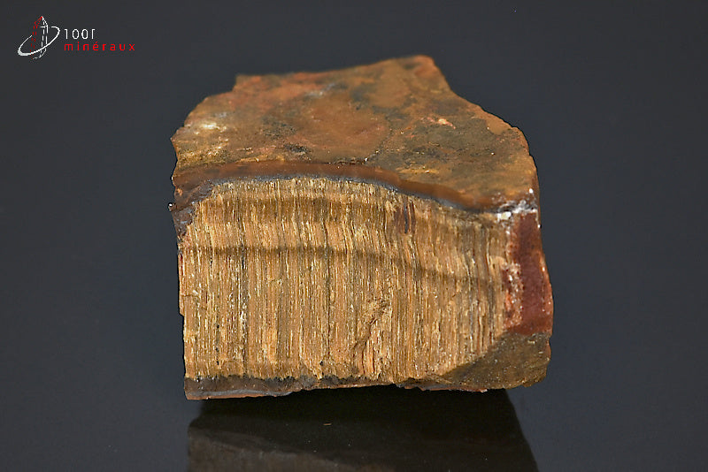 Minéral brut d'œil de tigre d'Afrique du sud