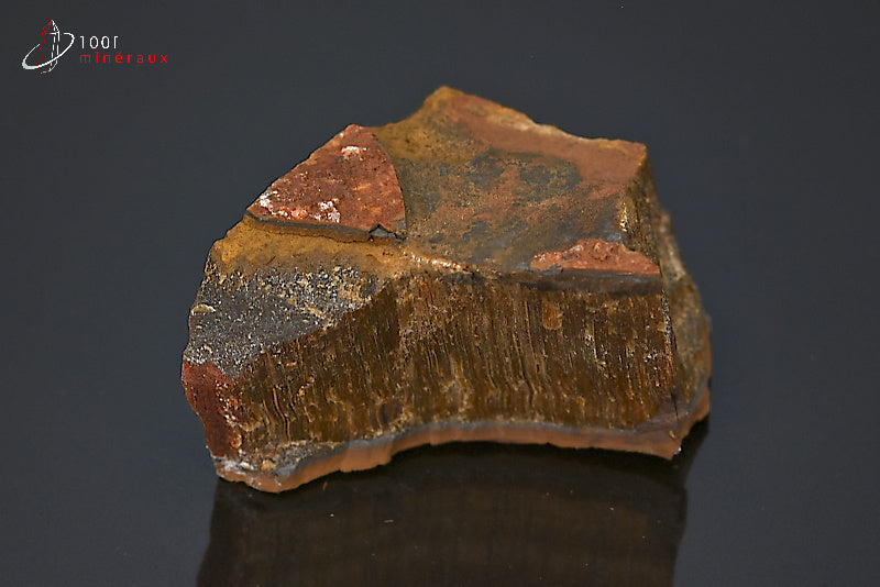 Minéral brut d'œil de tigre d'Afrique du sud