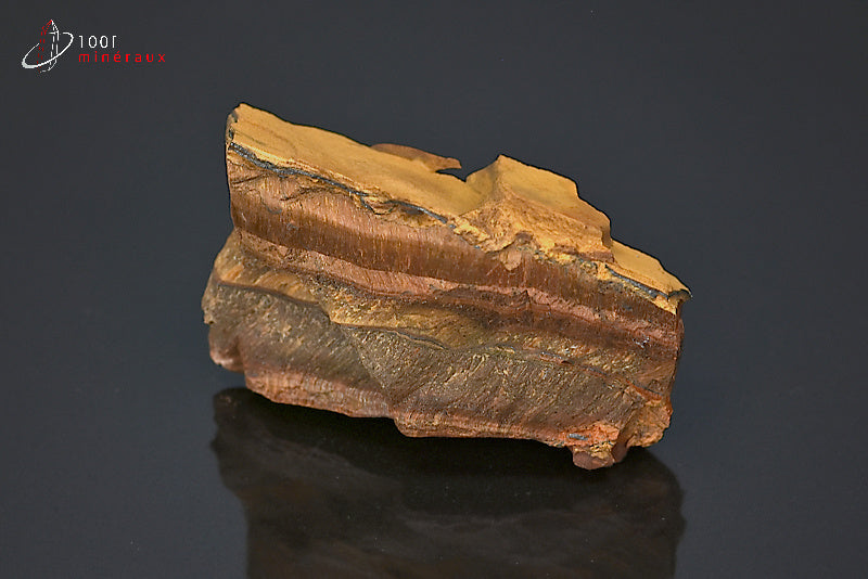 Minéral brut d'œil de tigre d'Afrique du sud