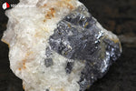 Galène sur Quartz blanc du Maroc - 80 g / AZ375 - Vignette | 1001 minéraux