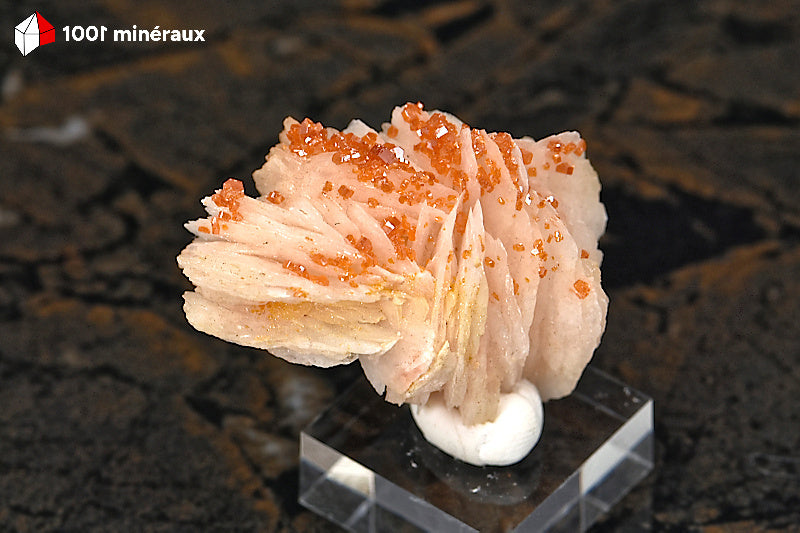 Vanadinite du Maroc - Cristaux oranges sur Barytine blanche - 35 g - AZ408