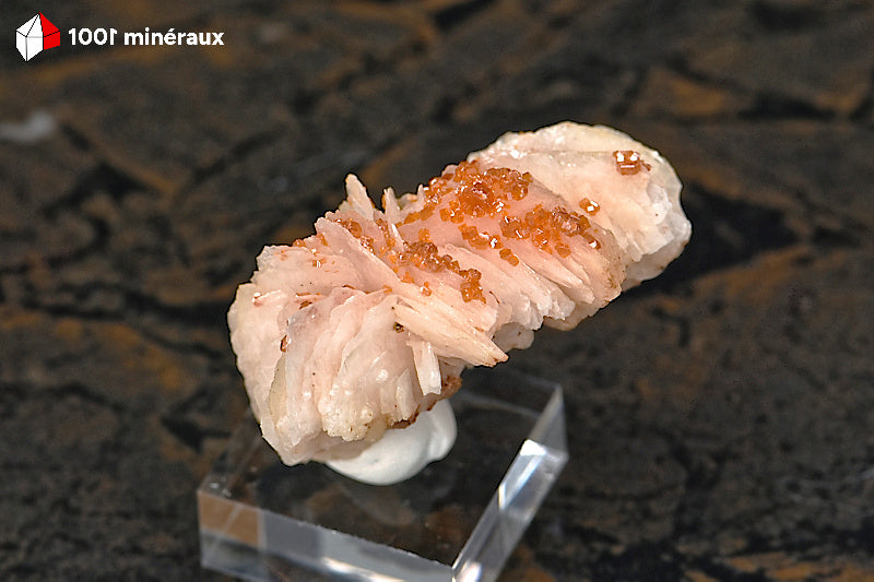 Vanadinite du Maroc - Spécimen sur socle, 4 x 2,6 x 2 cm - AZ408