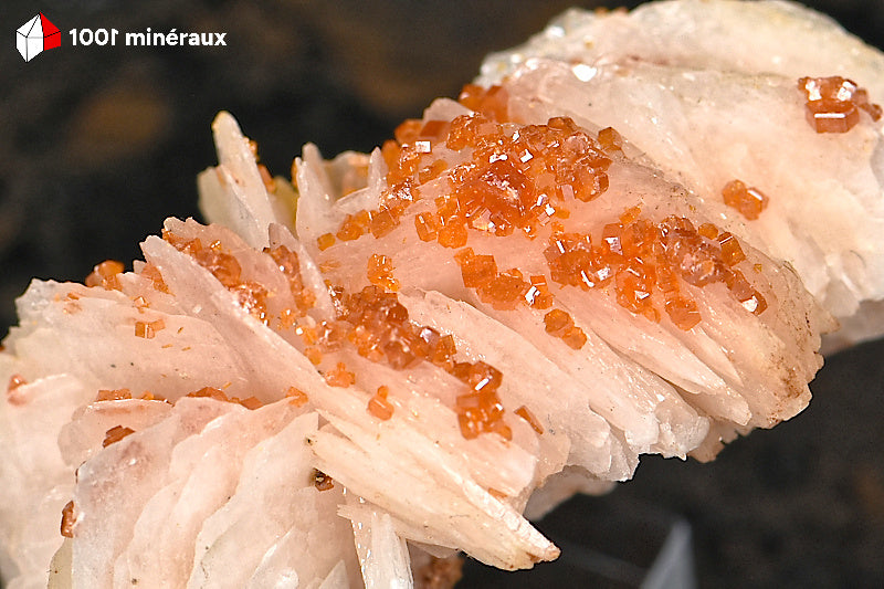 Vanadinite du Maroc - Détail des cristaux hexagonaux orange sur crêtes de Barytine - 35 g