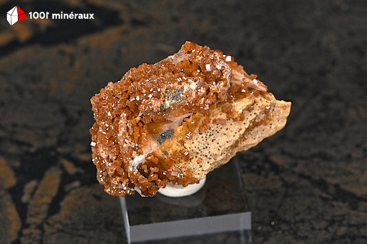 Vanadinite du Maroc - Cristaux orange-brun sur Barytine blanche - 35 g - AZ409