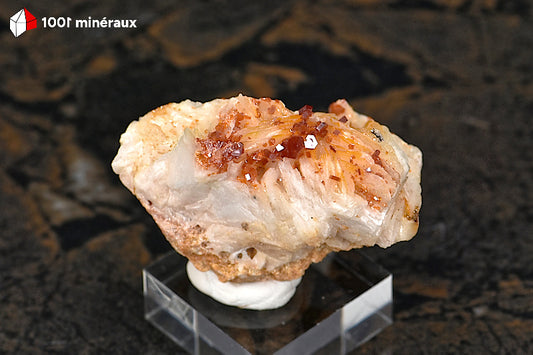 Vanadinite du Maroc - Cristaux rouge-orange sur Barytine blanche crêtée - 41 g - AZ410