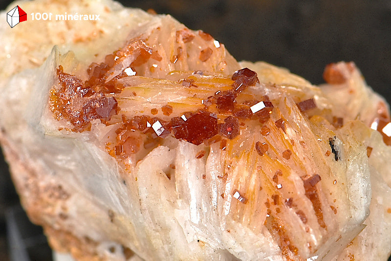 Vanadinite du Maroc - Détail des cristaux hexagonaux rouge-orange sur crêtes de Barytine - 41 g