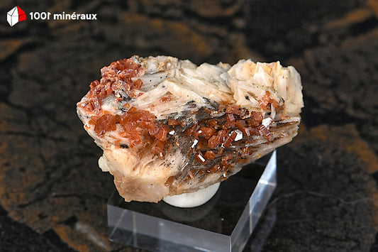 Vanadinite du Maroc - Cristaux rouge-orange sur Barytine blanche crêtée - 35 g - AZ411