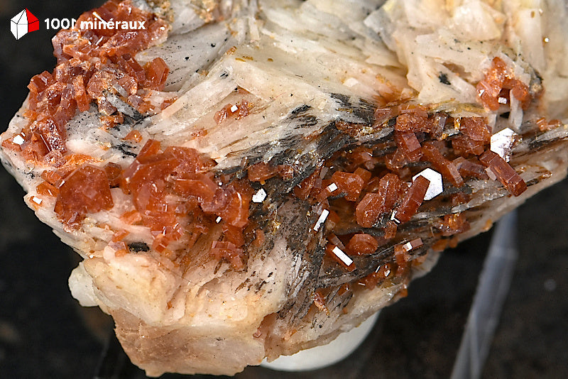Vanadinite du Maroc - Détail des cristaux hexagonaux rouge-orange sur crêtes de Barytine - 35 g