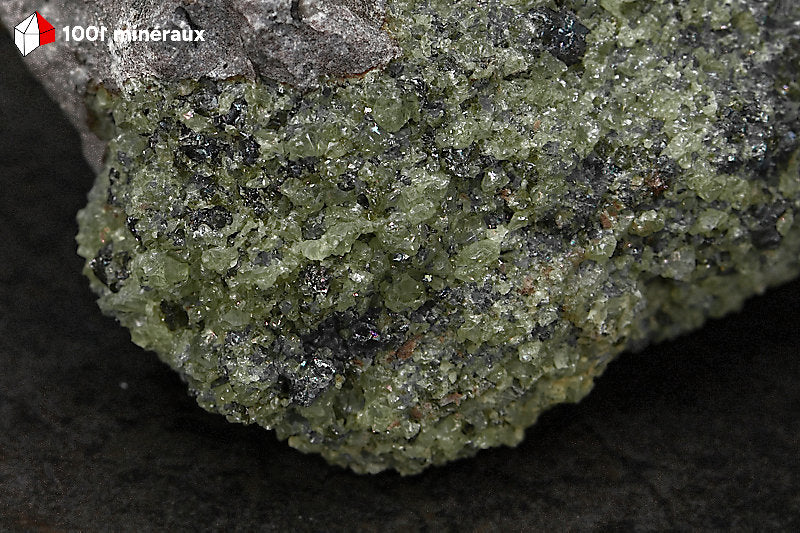 Péridot des États-Unis - Détail des cristaux gemmes sur matrice volcanique - BA113