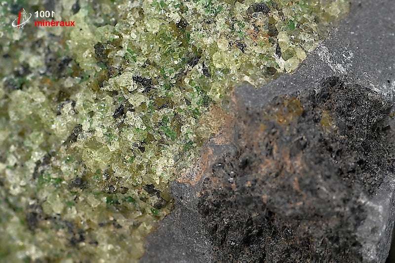 Minéral cristallisé de péridot vert des Etats-Unis