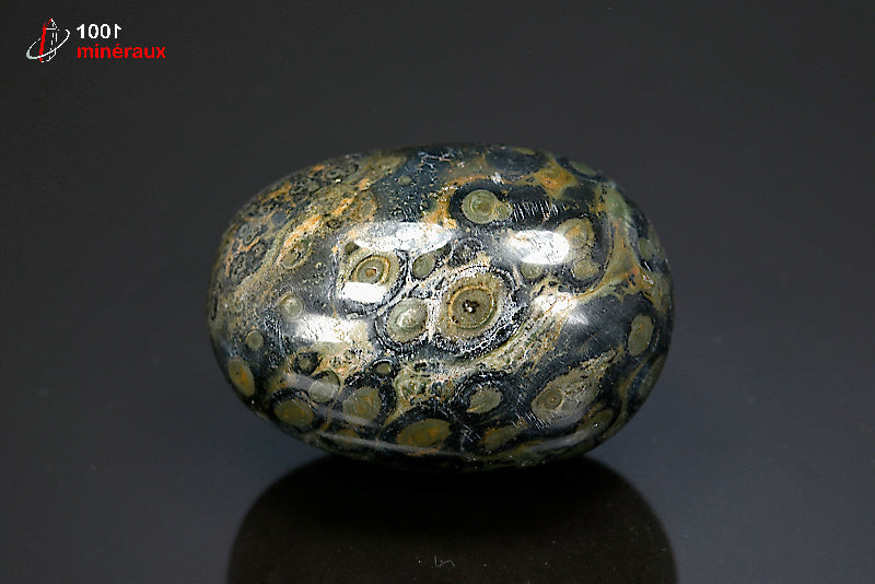 Minéral poli de jaspe Kambala de Madagascar