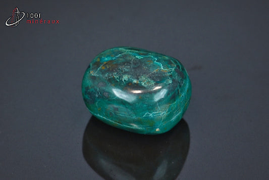 Minéral poli de chrysocolle du République démocratique du Congo