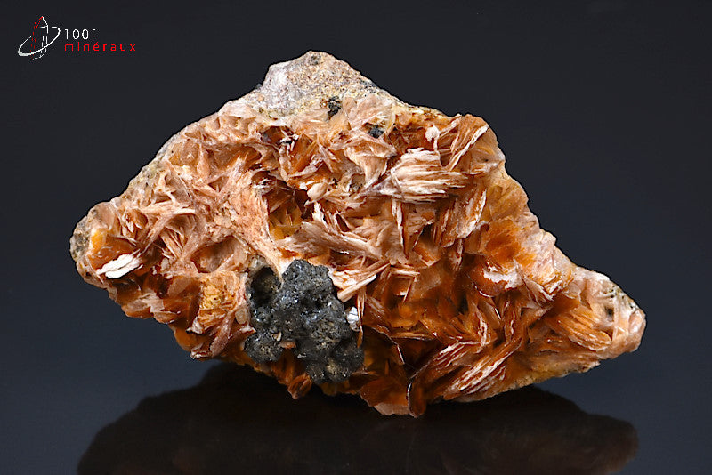 Minéral cristallisé de baryte du Maroc