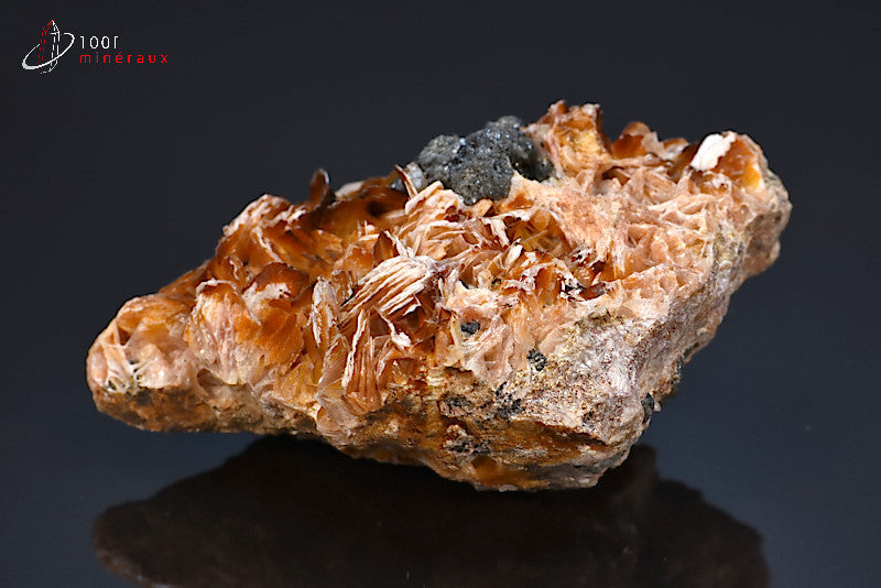 Minéral cristallisé de baryte du Maroc