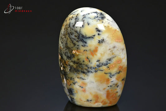 Minéral poli d'opale à dendrites de Madagascar