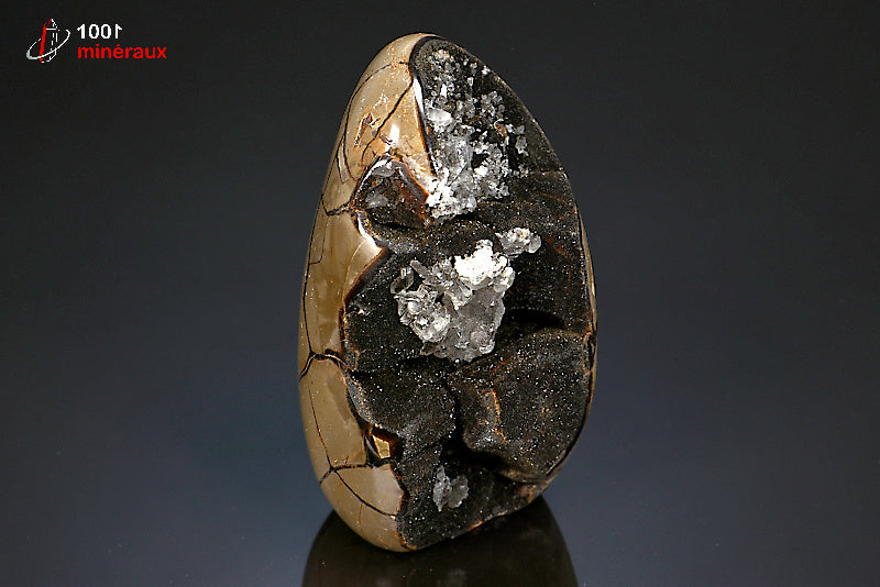 Minéral poli en forme libre de septaria jaune et noire de Madagascar