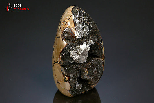 Minéral poli en forme libre de septaria jaune et noire de Madagascar