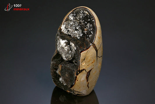 Minéral poli en forme libre de septaria jaune et noire de Madagascar