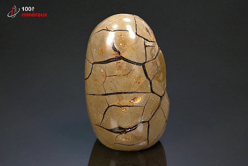 Minéral poli en forme libre de septaria jaune et noire de Madagascar