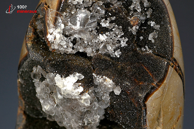 Minéral poli en forme libre de septaria jaune et noire de Madagascar