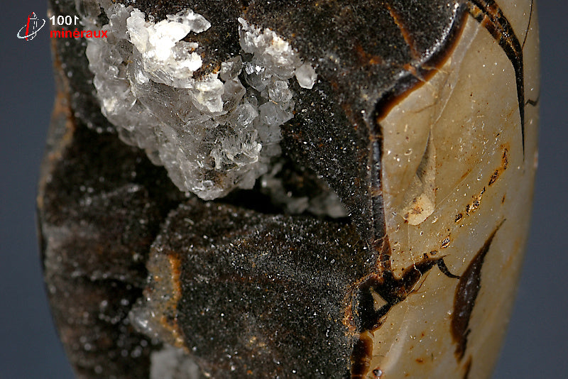 Minéral poli en forme libre de septaria jaune et noire de Madagascar