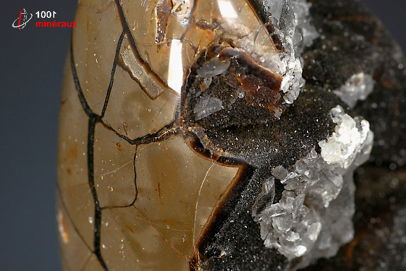 Minéral poli en forme libre de septaria jaune et noire de Madagascar