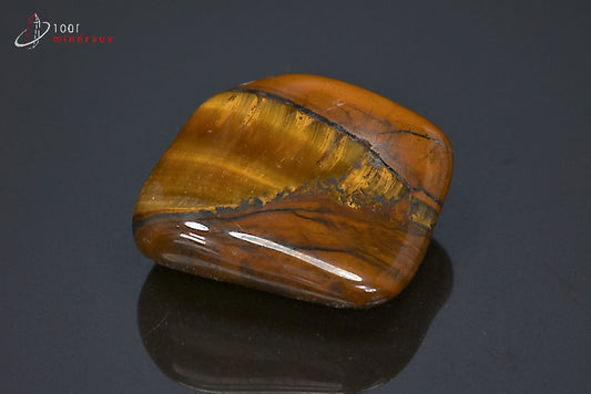 Minéral poli d'œil de tigre d'Afrique du sud