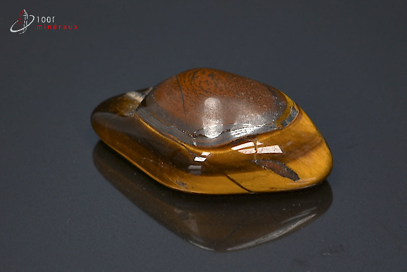 Minéral poli d'œil de tigre d'Afrique du sud
