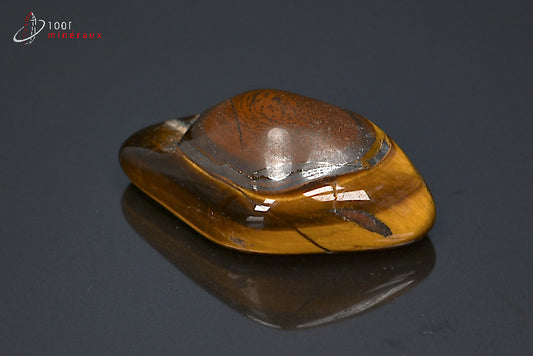 Minéral poli d'œil de tigre d'Afrique du sud