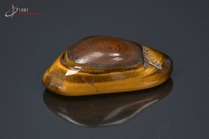 Minéral poli d'œil de tigre d'Afrique du sud