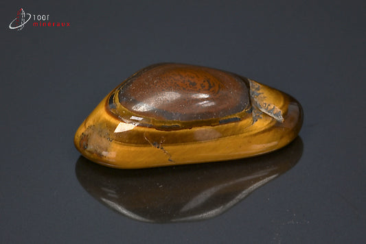 Minéral poli d'œil de tigre d'Afrique du sud