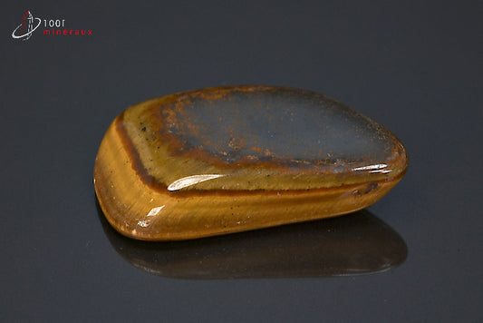 Minéral poli d'œil de tigre d'Afrique du sud