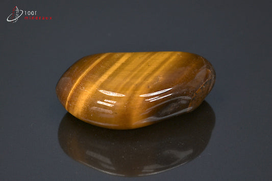 Oeil de tigre poli - Afrique du sud - pierres roulées 4,3 cm / 27g / BB297