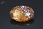 Jaspe poli galet - Madagascar - minéraux polis 3,8 cm / 16g / BB369 - Vignette | 1001 minéraux