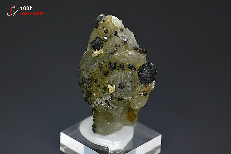 Minéral d'adamite cristallisée verte avec blende du Portugal