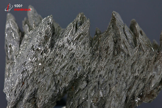 Minéral cristallisé de gypse sapin noir de France