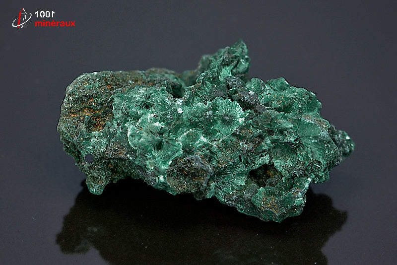 Minéral cristallisé de malachite soyeuse de République démocratique du Congo