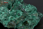 Malachite soyeuse - R.D.Congo - minéraux à cristaux 5,9 cm / 50g / BB721 - Vignette | 1001 minéraux