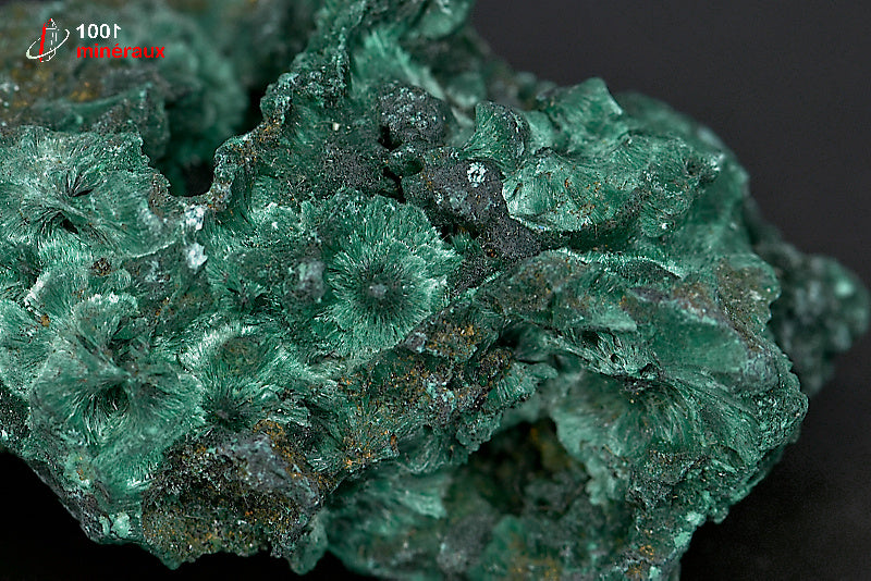 Minéral cristallisé de malachite soyeuse de République démocratique du Congo