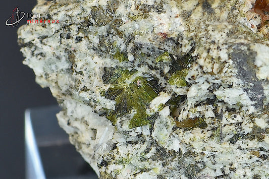 Minéral cristallisé de titanite sur Orthose d Maroc