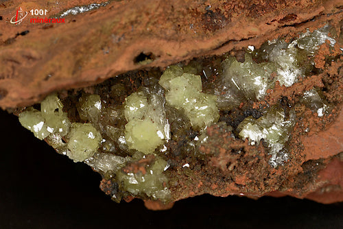 Minéral cristallisé d'adamite verte sur limonite du Mexique