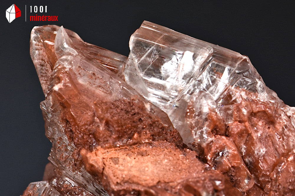 Minéral de gypse cristallisé rouge et blanc translucide d'Espagne