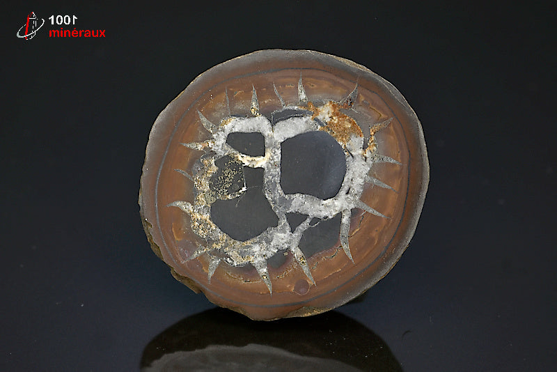 Minéral scié poli de septaria du Maroc