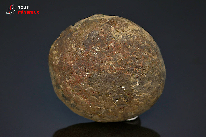 Minéral scié poli de septaria du Maroc