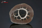 Septaria sciée polie - Maroc - minéraux bruts 5,3 cm / 51g / BC310 - Vignette | 1001 minéraux